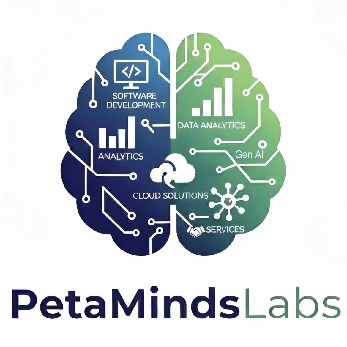 PetaMindsLabs Private Limited